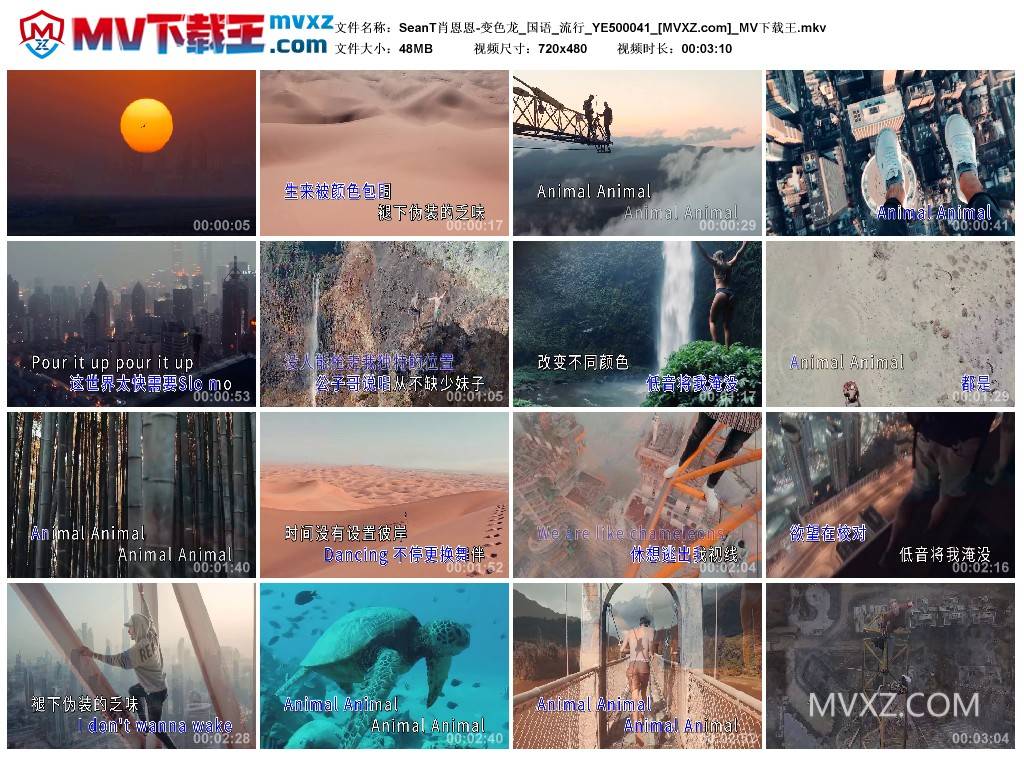 SeanT肖恩恩-变色龙_国语_流行_YE500041